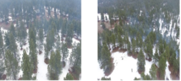 Wildfire Prediction Using Satellite Images